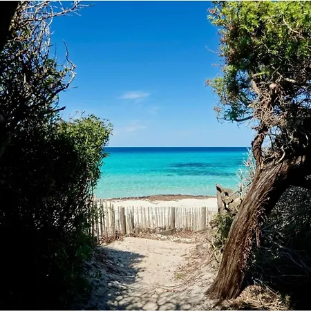 Casa Savelli Corbara