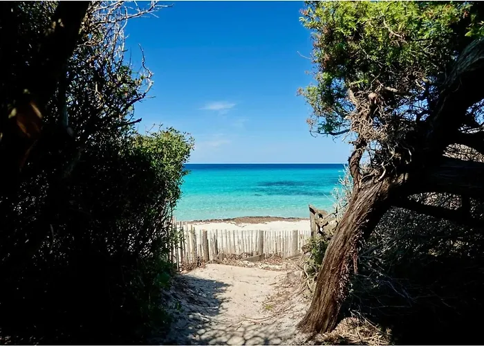 Casa Savelli Corbara